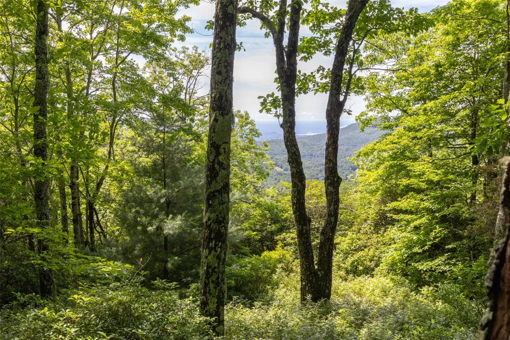 14 W Whitetail Drive Sapphire, NC 28774