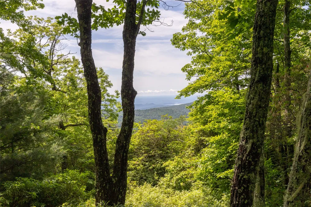 14 W Whitetail Drive Sapphire, NC 28774