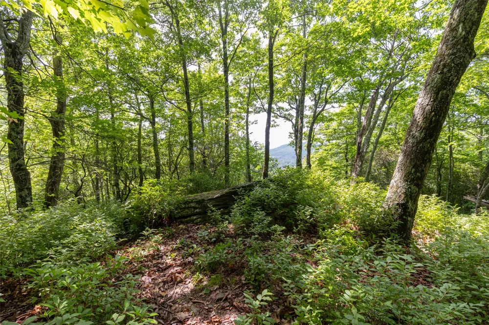 14 W Whitetail Drive Sapphire, NC 28774