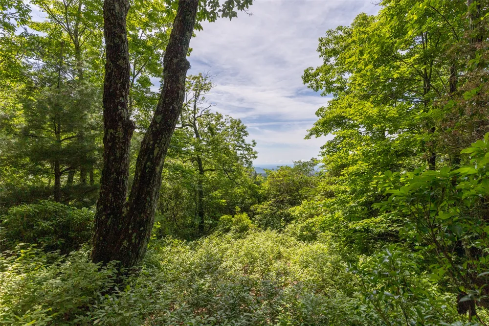 14 W Whitetail Drive Sapphire, NC 28774