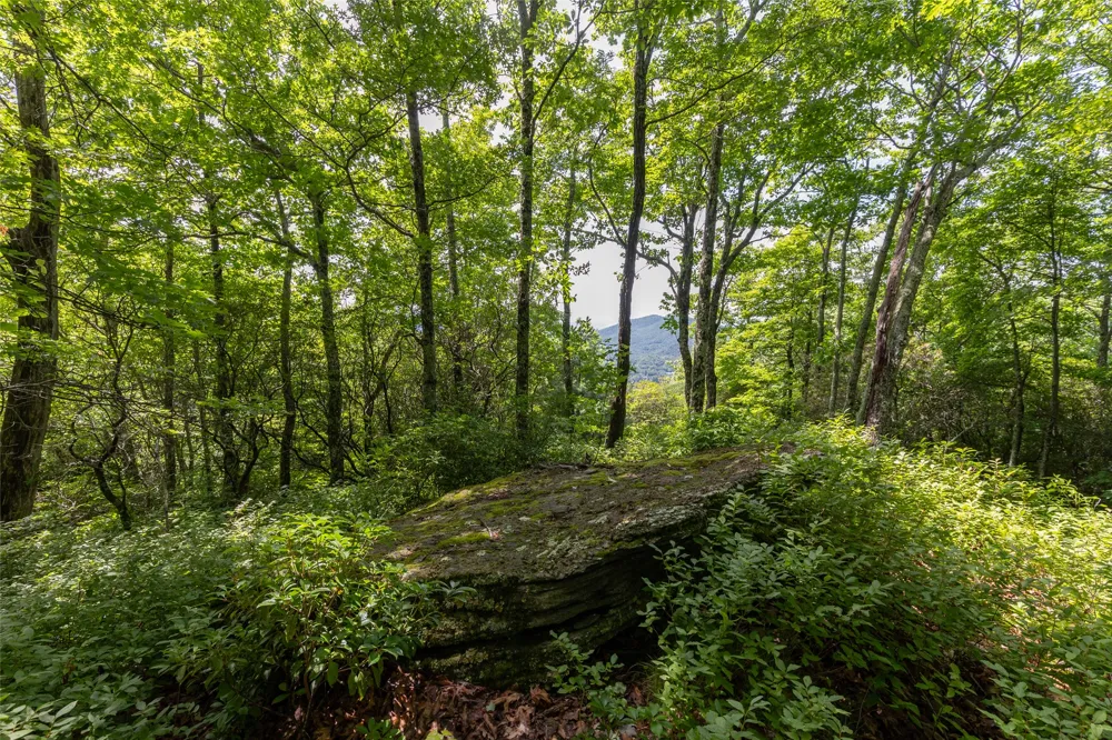 14 W Whitetail Drive Sapphire, NC 28774