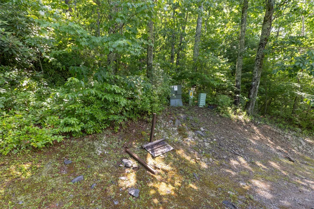 14 W Whitetail Drive Sapphire, NC 28774