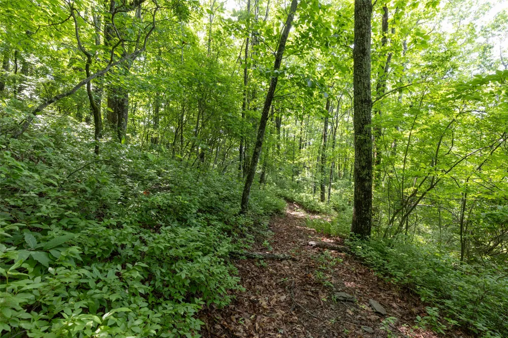 14 W Whitetail Drive Sapphire, NC 28774