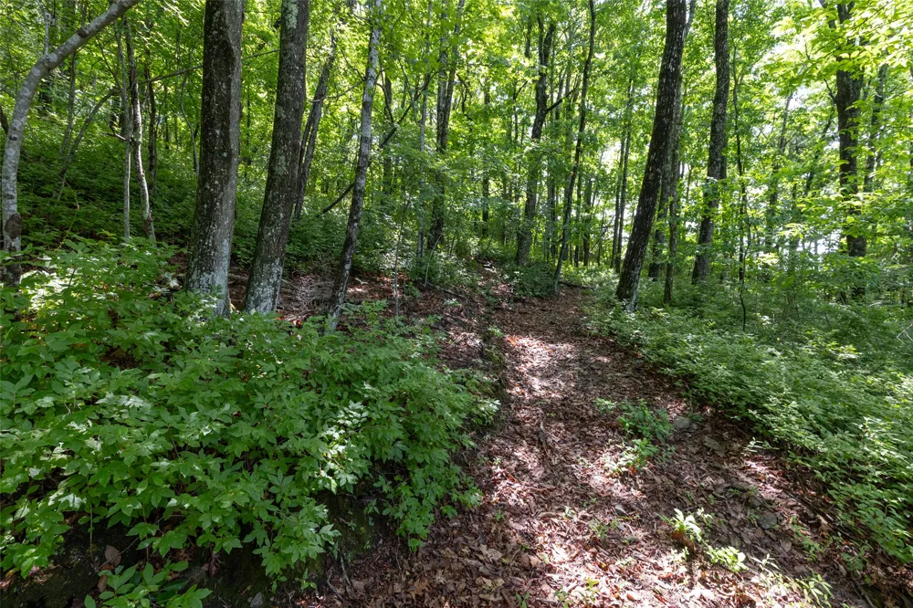 14 W Whitetail Drive Sapphire, NC 28774