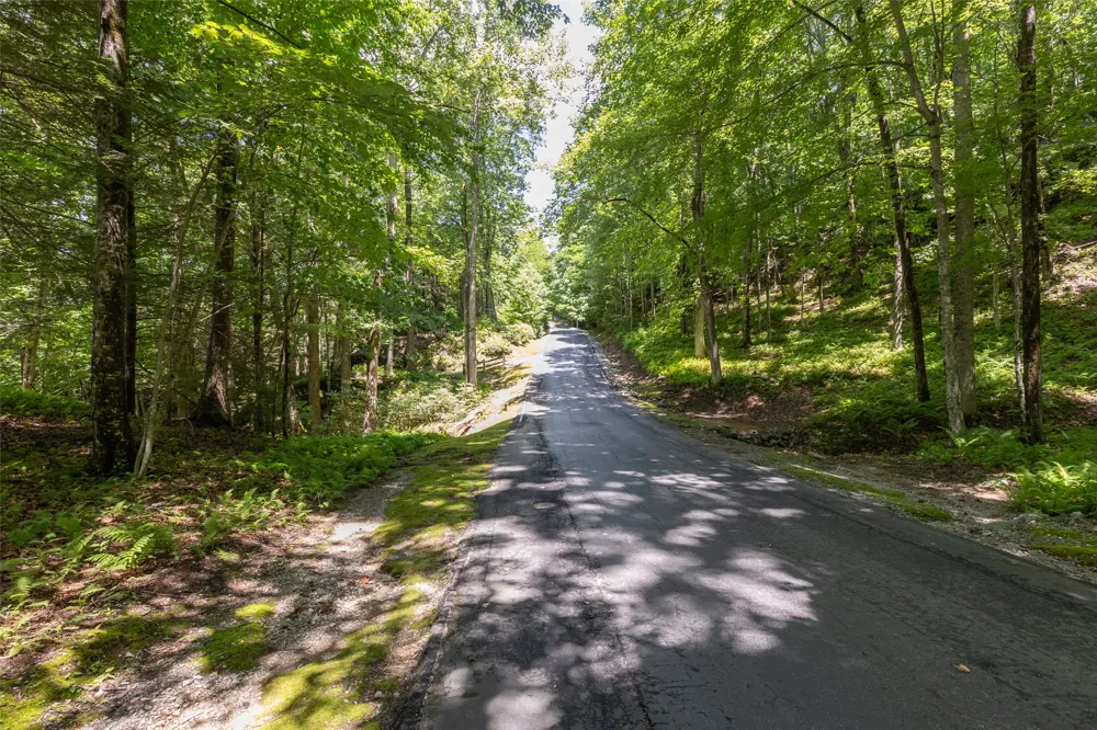 14 W Whitetail Drive Sapphire, NC 28774