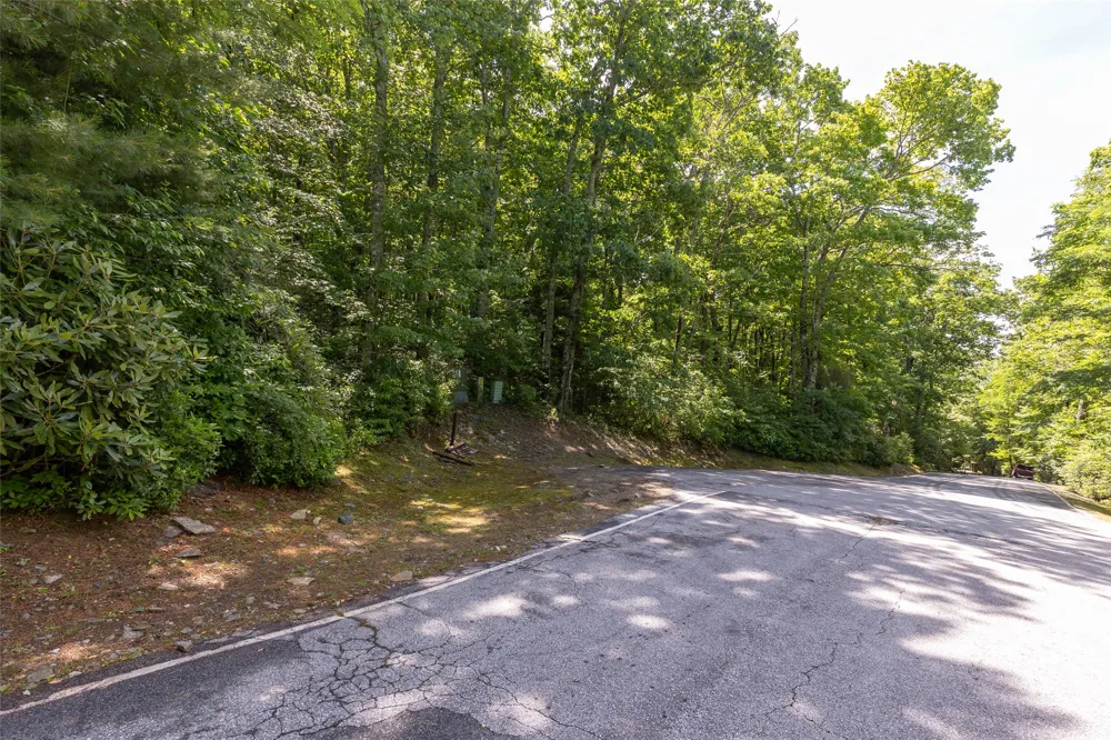 14 W Whitetail Drive Sapphire, NC 28774