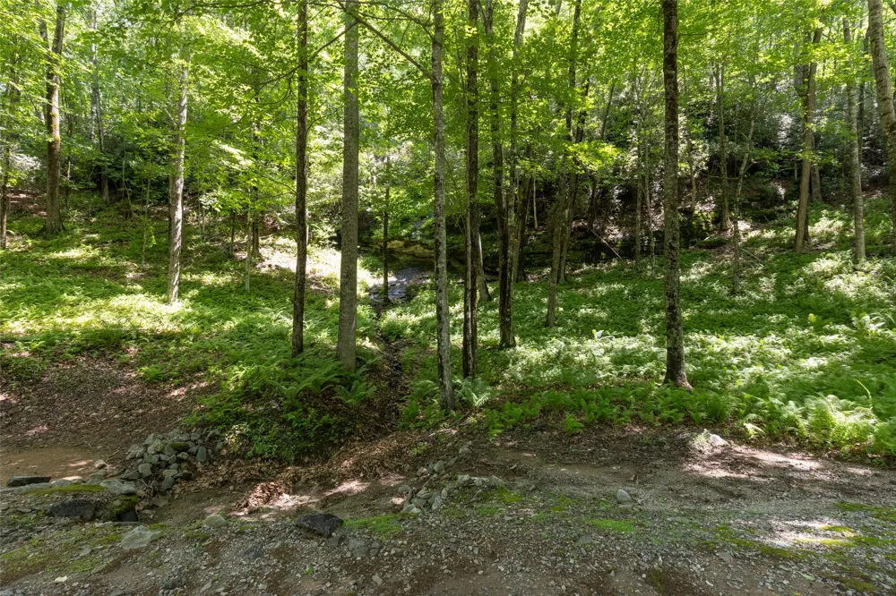 14 W Whitetail Drive Sapphire, NC 28774