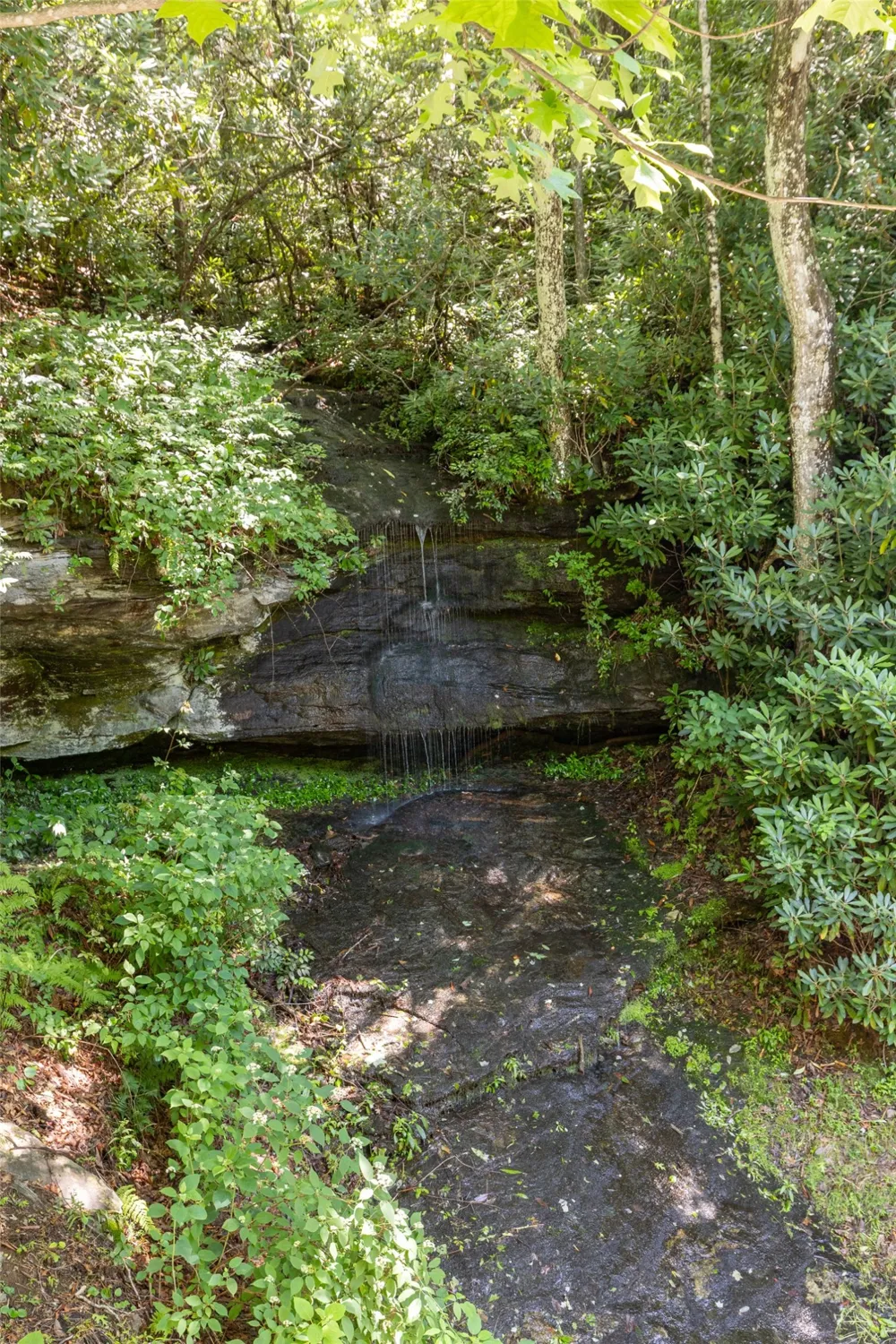 14 W Whitetail Drive Sapphire, NC 28774