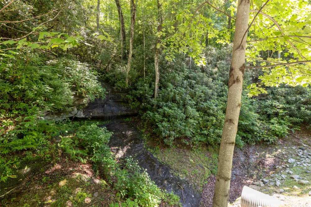 14 W Whitetail Drive Sapphire, NC 28774