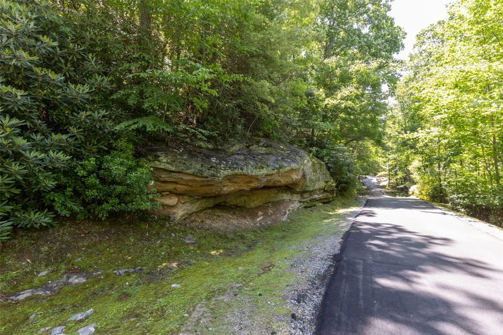14 W Whitetail Drive Sapphire, NC 28774