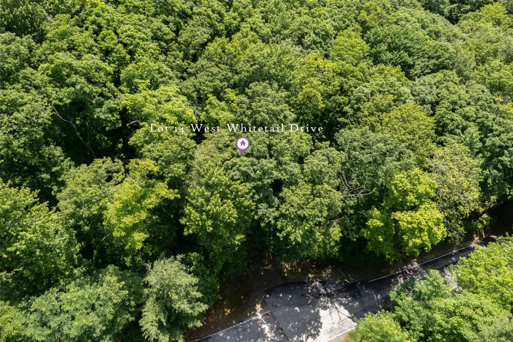 14 W Whitetail Drive Sapphire, NC 28774