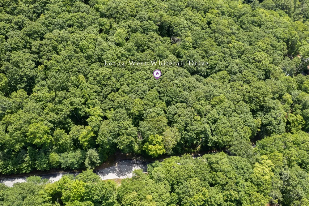 14 W Whitetail Drive Sapphire, NC 28774