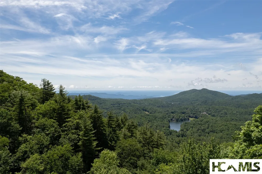 14 W Whitetail Drive Sapphire, NC 28774