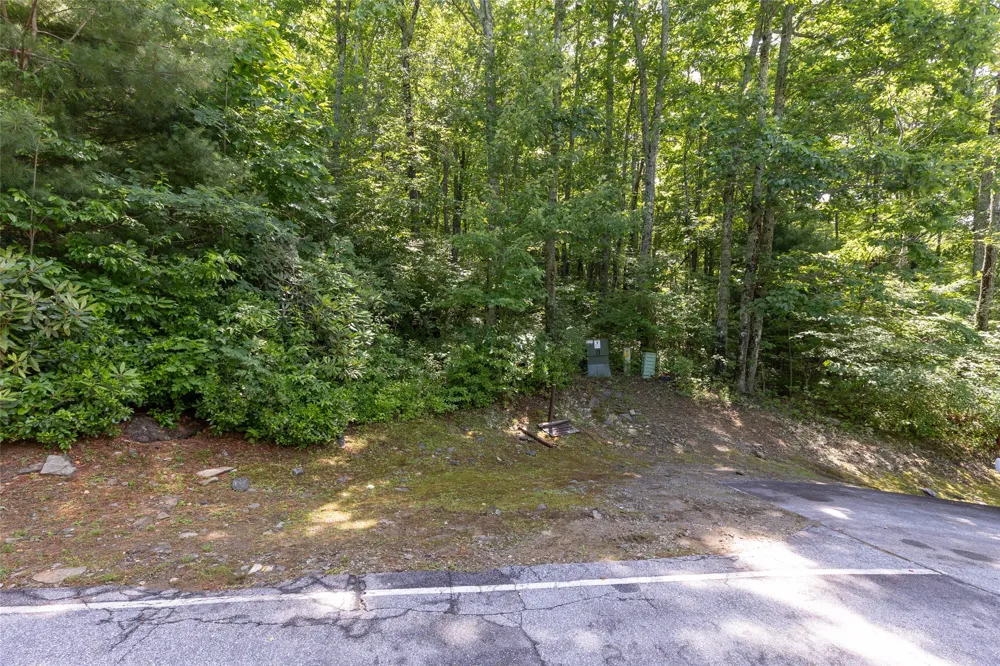 14 W Whitetail Drive Sapphire, NC 28774