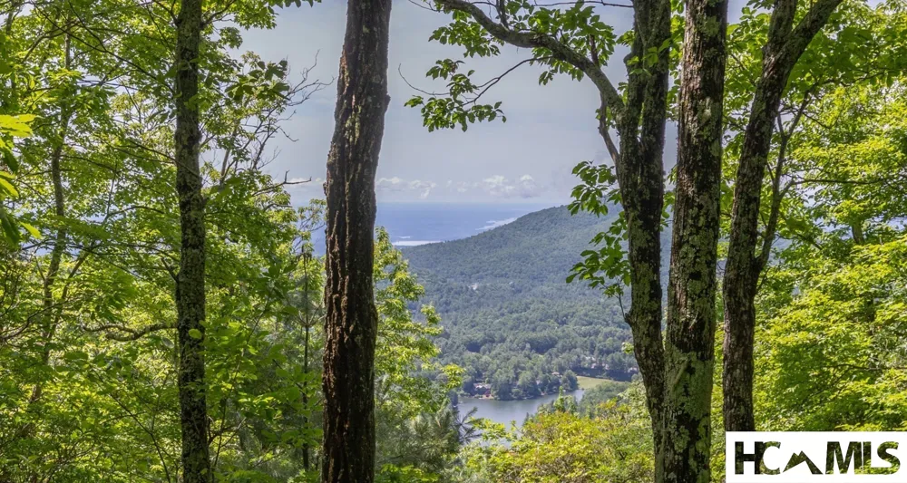 14 W Whitetail Drive Sapphire, NC 28774