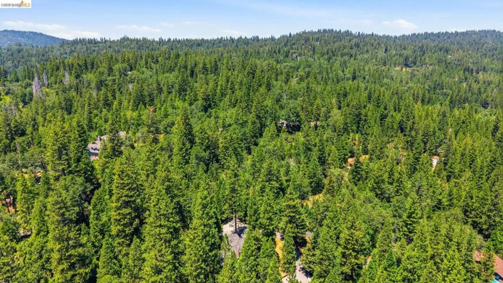19903 Forest Vista Drive Twain Harte, CA 95383