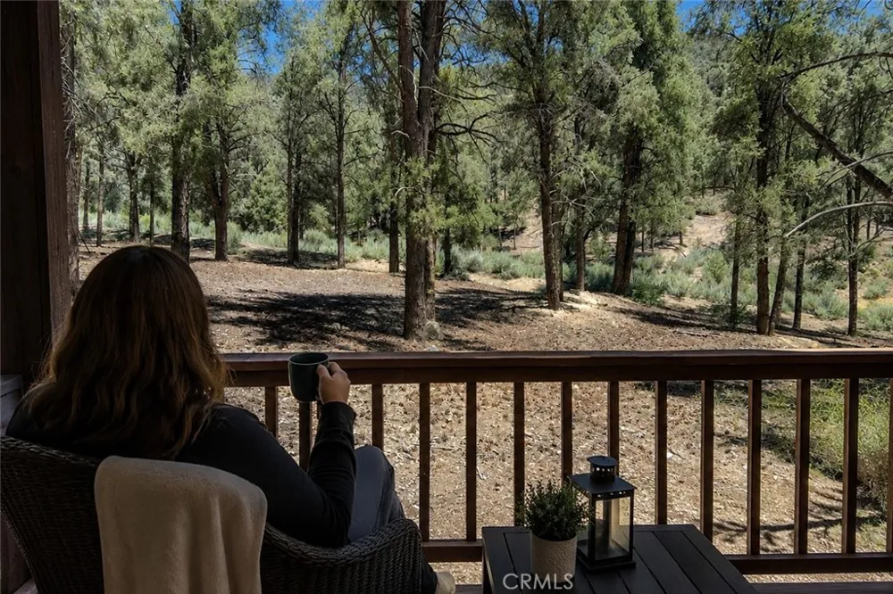 16525 Grizzly Drive Pine Mountain Club, CA 93222