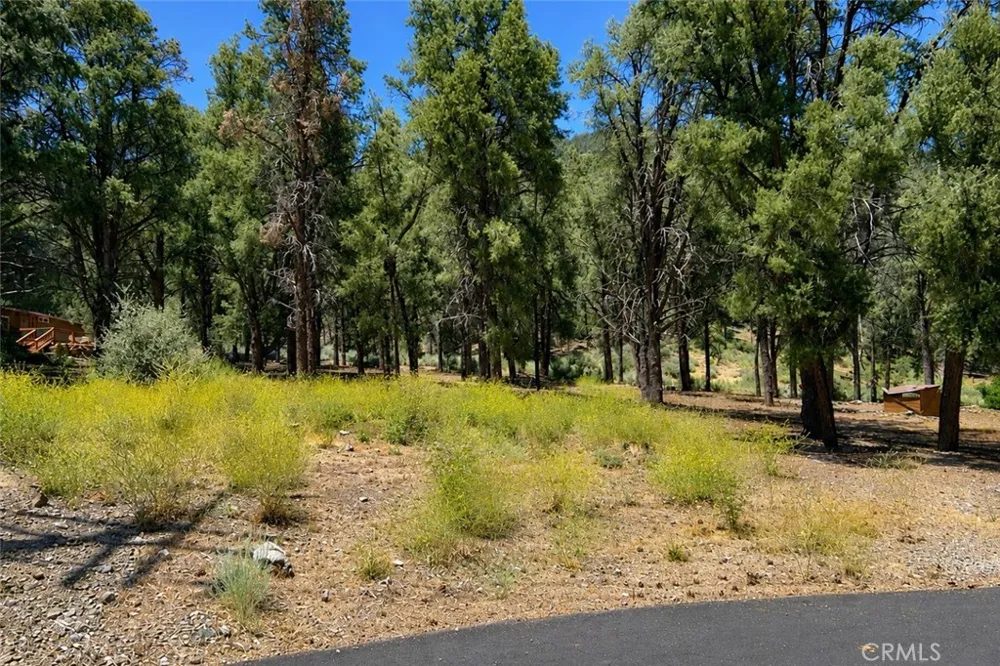 16525 Grizzly Drive Pine Mountain Club, CA 93222