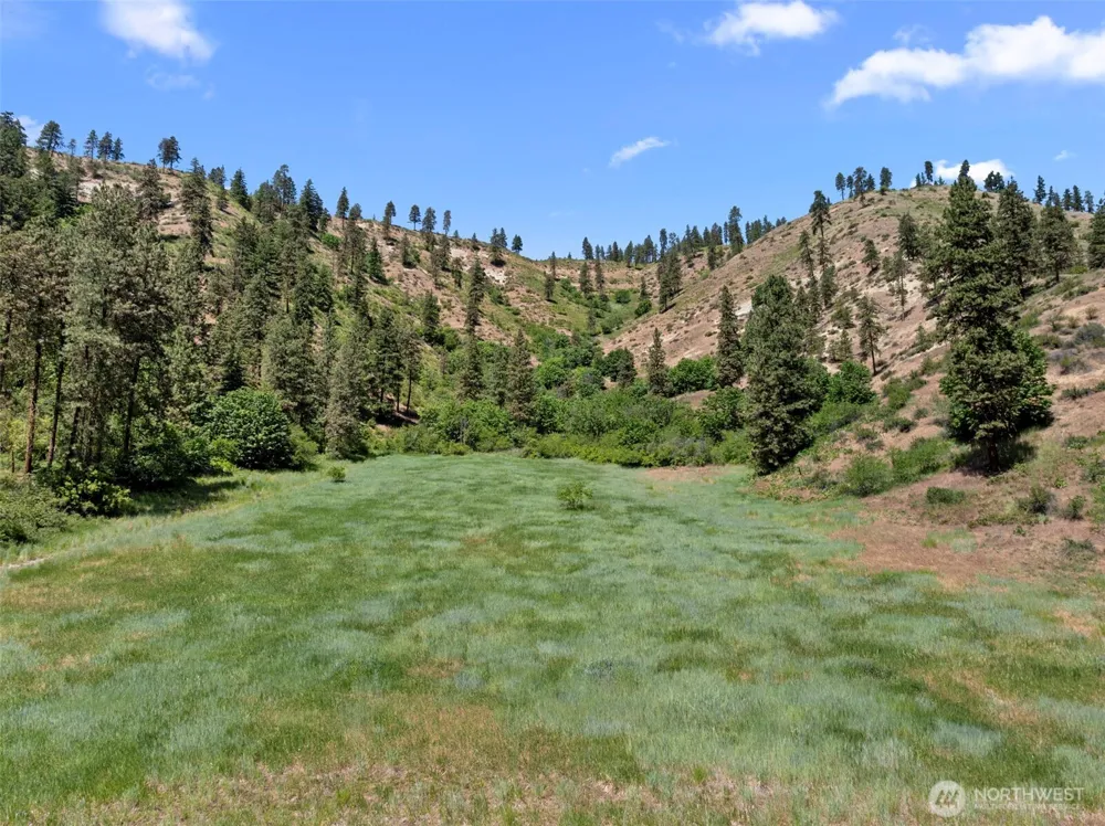 82 67 Karl Downs Lane Cashmere, WA 98815