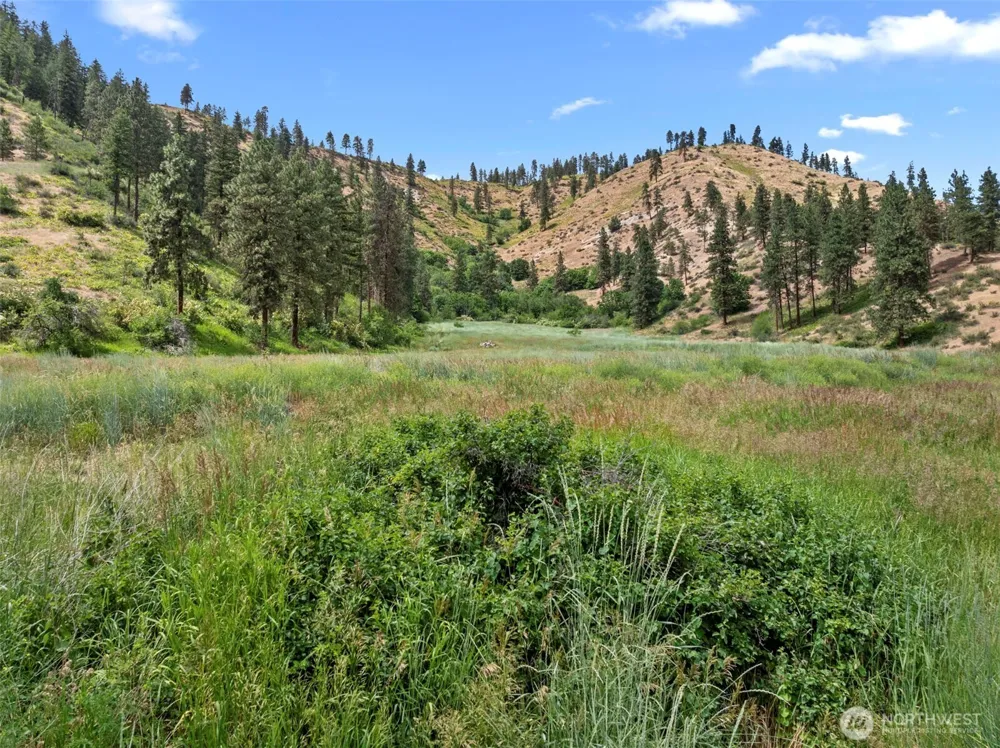 82 67 Karl Downs Lane Cashmere, WA 98815