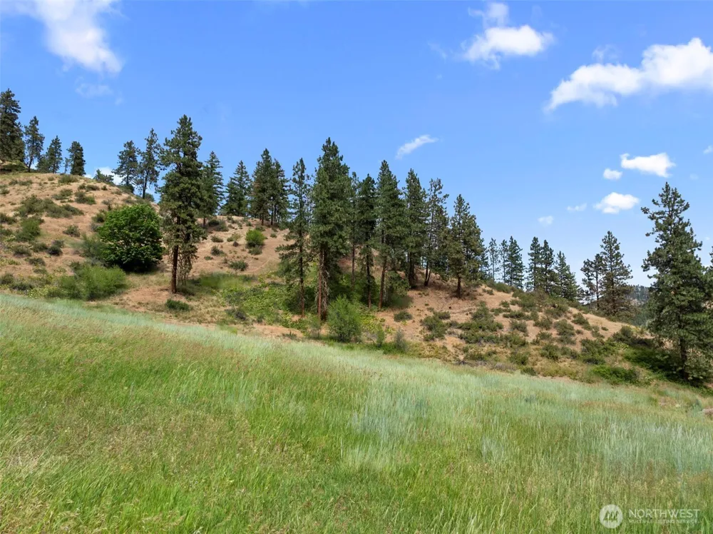 82 67 Karl Downs Lane Cashmere, WA 98815