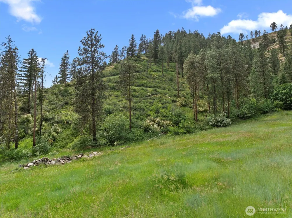 82 67 Karl Downs Lane Cashmere, WA 98815