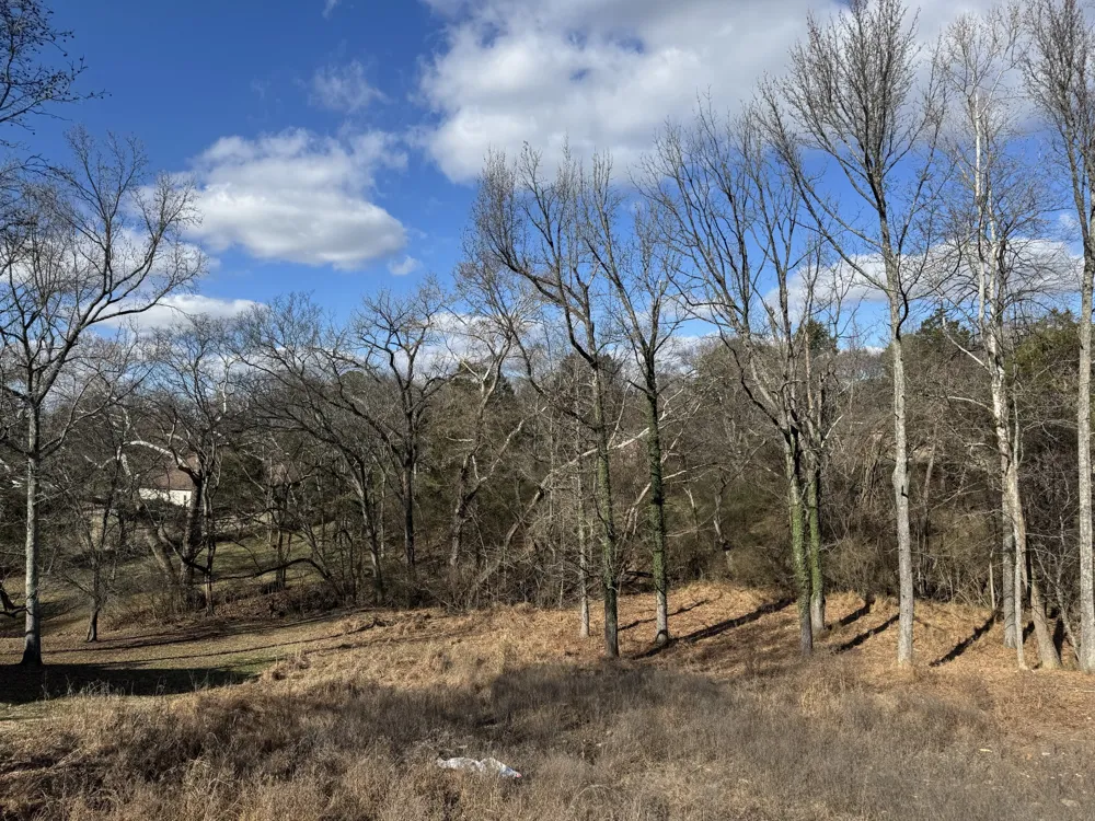 1837 Hidden Ridge Cir Mount Juliet, TN 37122