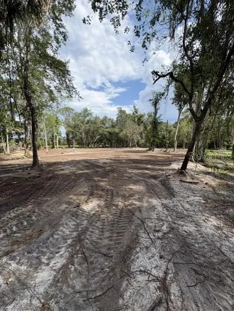 COUNTY ROAD 309