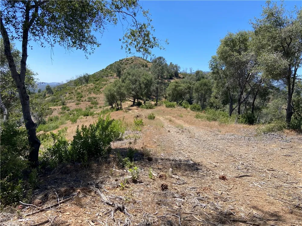 Bumguardner Mtn. Road Mariposa, CA 95338