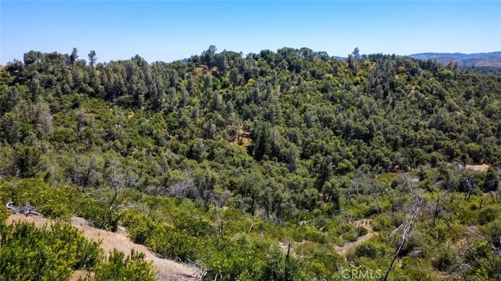 Bumguardner Mtn. Road Mariposa, CA 95338