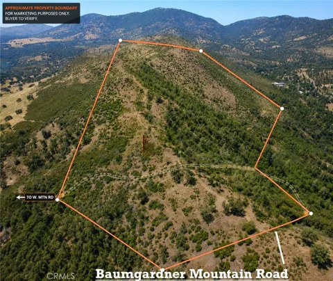 Bumguardner Mtn. Road