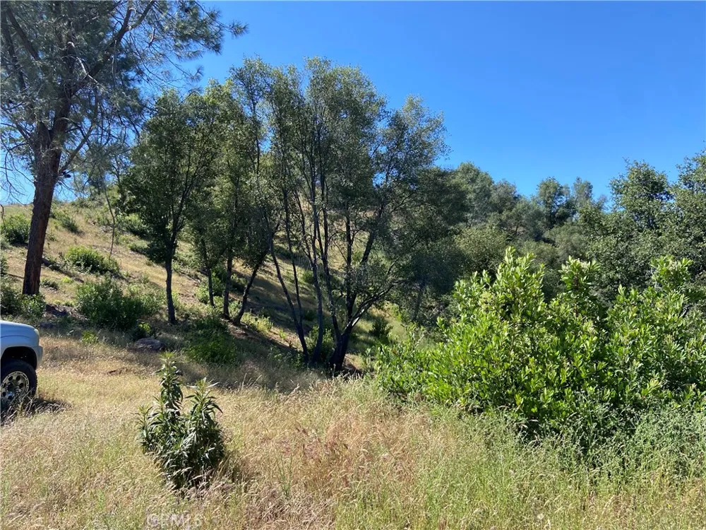 Bumguardner Mtn. Road Mariposa, CA 95338