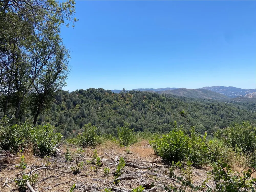 Bumguardner Mtn. Road Mariposa, CA 95338