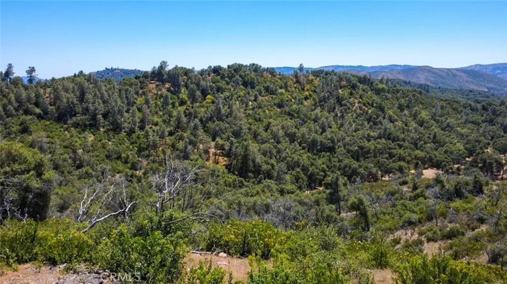 Bumguardner Mtn. Road Mariposa, CA 95338