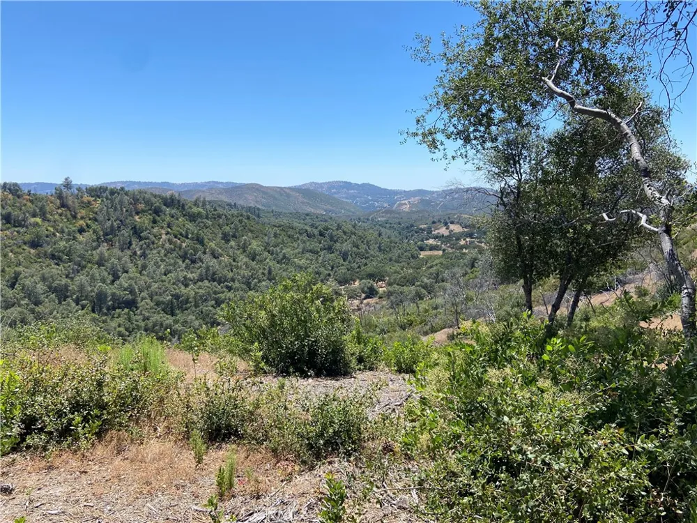 Bumguardner Mtn. Road Mariposa, CA 95338
