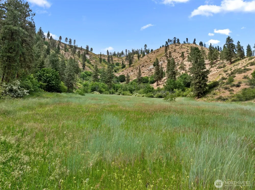 67 Karl Downs Lane Cashmere, WA 98815