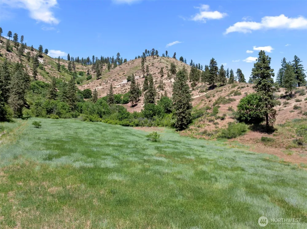 67 Karl Downs Lane Cashmere, WA 98815