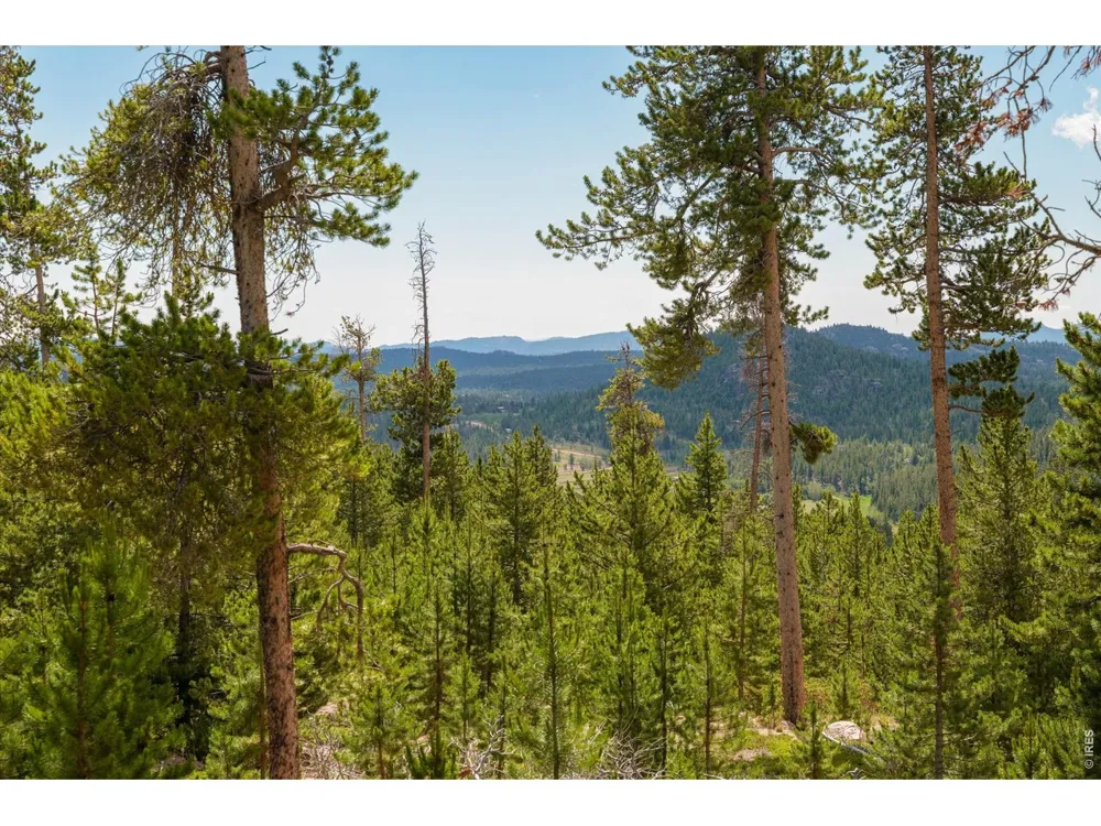 410 Pearl Creek Road Red Feather Lakes, CO 80545