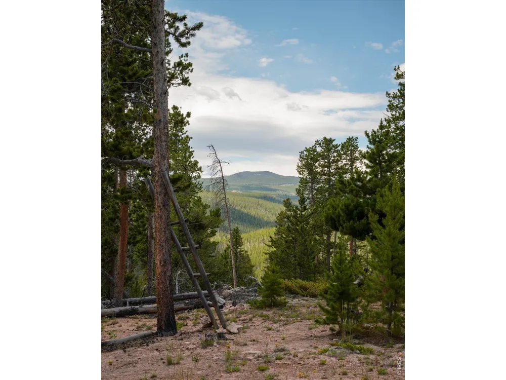 410 Pearl Creek Road Red Feather Lakes, CO 80545