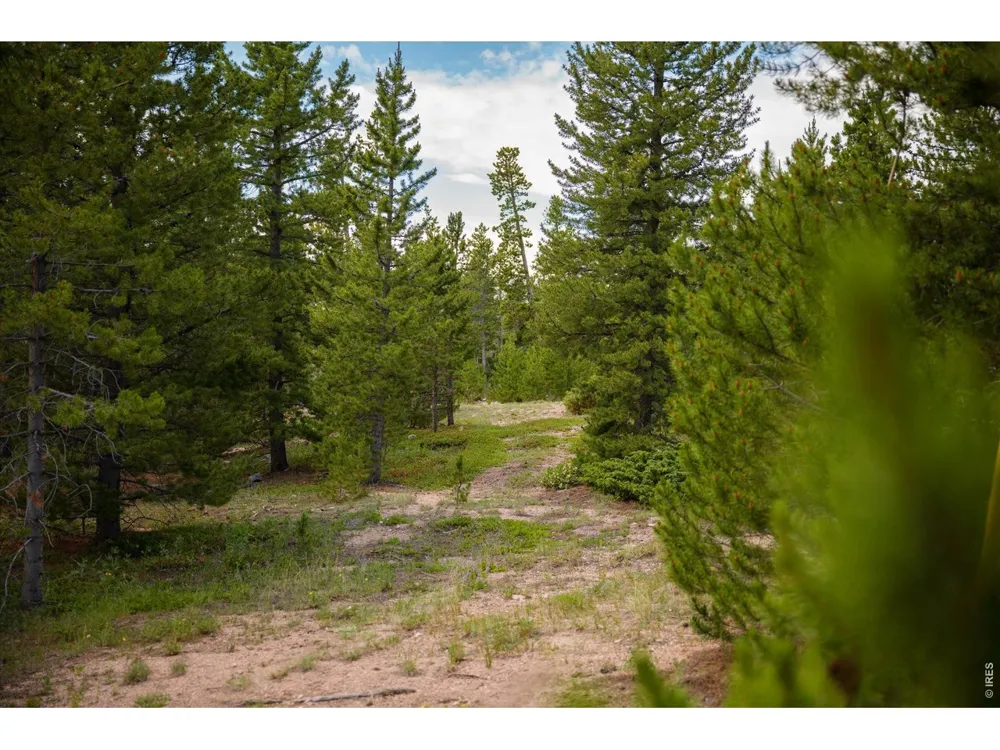 410 Pearl Creek Road Red Feather Lakes, CO 80545