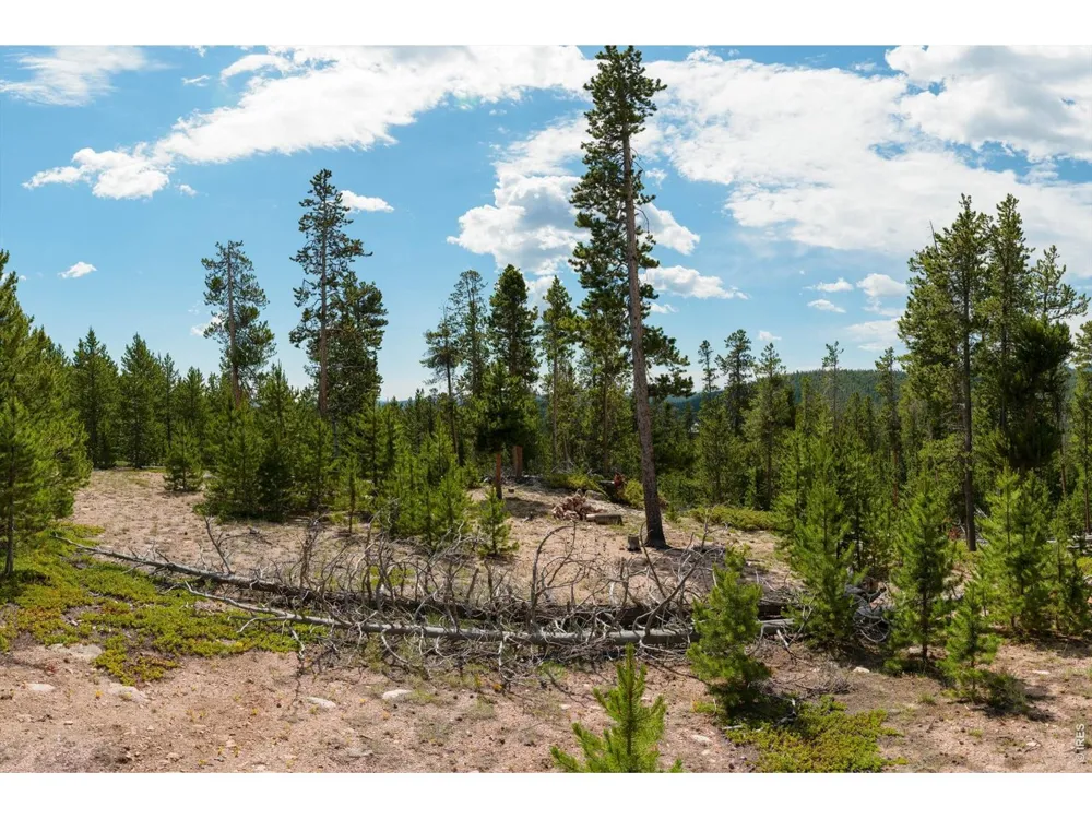 410 Pearl Creek Road Red Feather Lakes, CO 80545