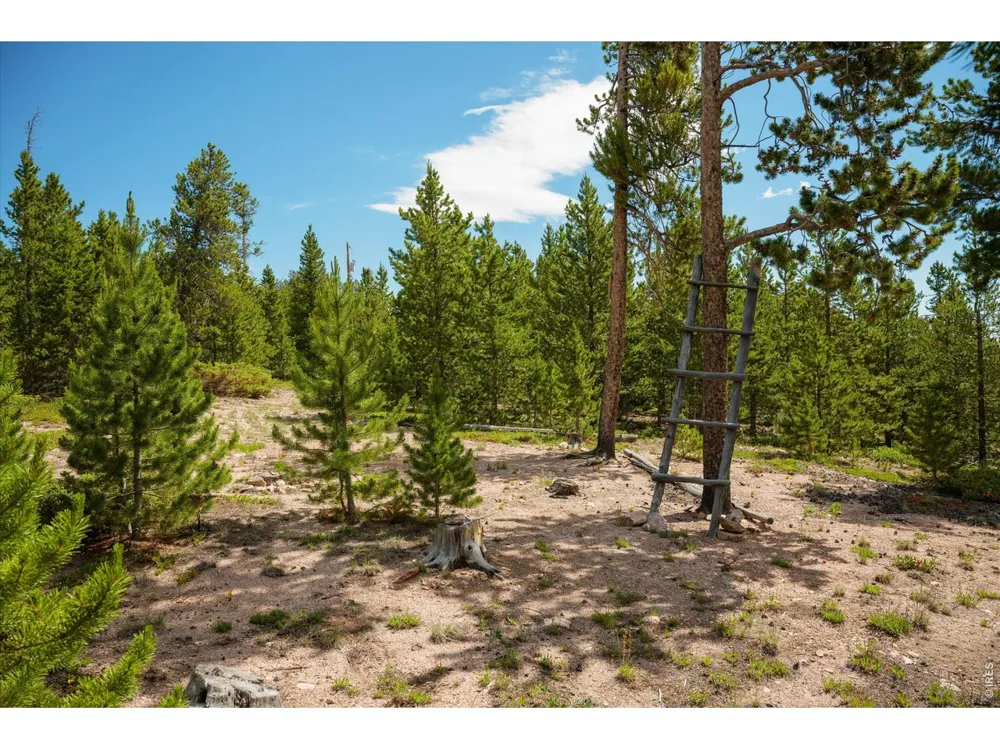 410 Pearl Creek Road Red Feather Lakes, CO 80545