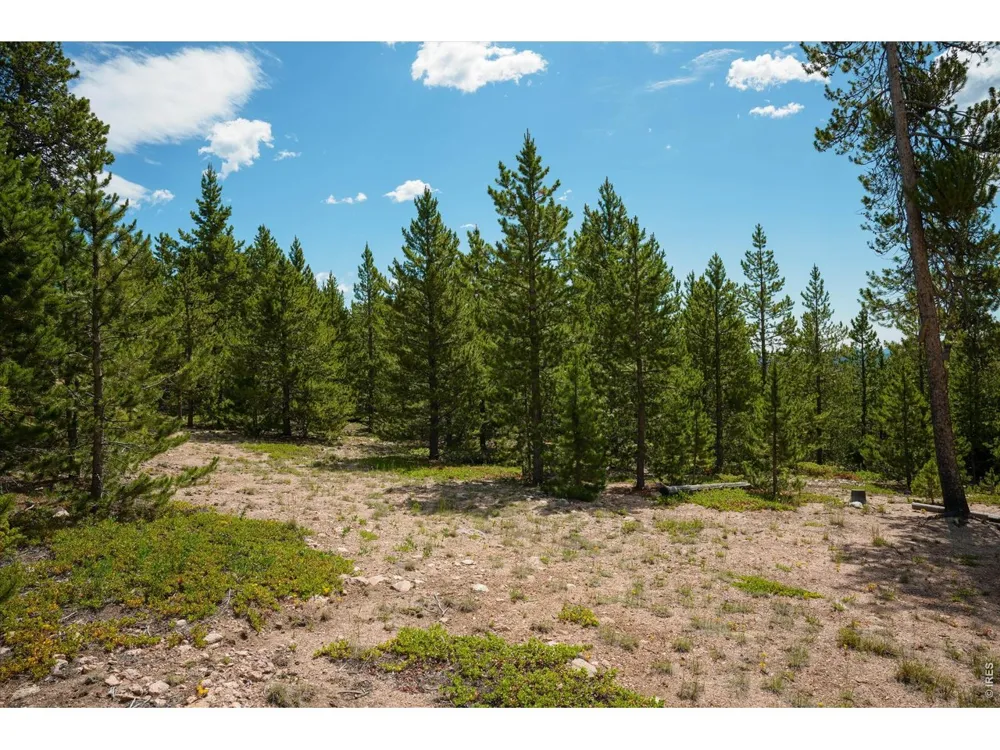 410 Pearl Creek Road Red Feather Lakes, CO 80545