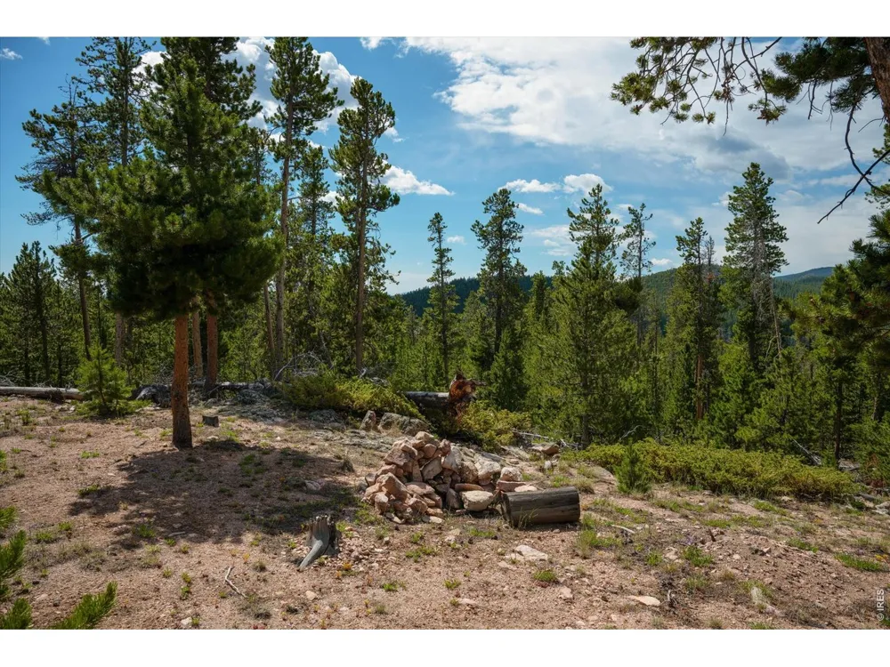 410 Pearl Creek Road Red Feather Lakes, CO 80545