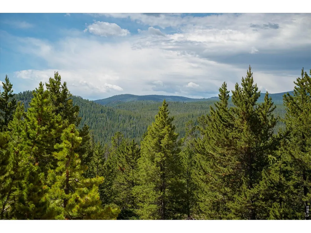 410 Pearl Creek Road Red Feather Lakes, CO 80545