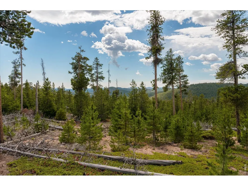 410 Pearl Creek Road Red Feather Lakes, CO 80545