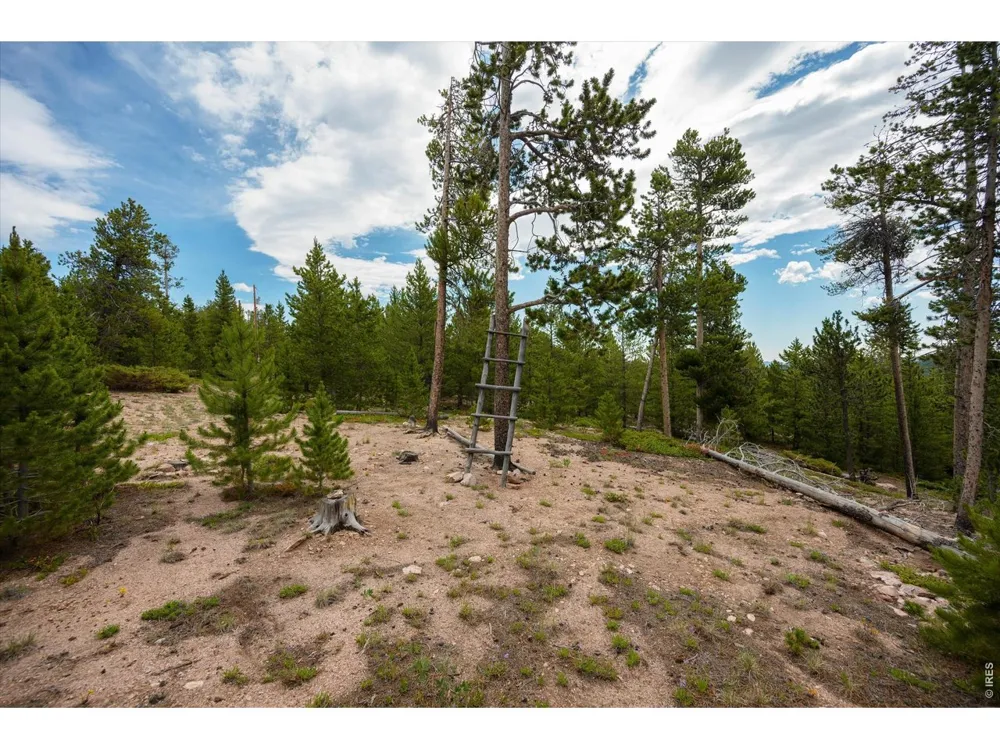 410 Pearl Creek Road Red Feather Lakes, CO 80545
