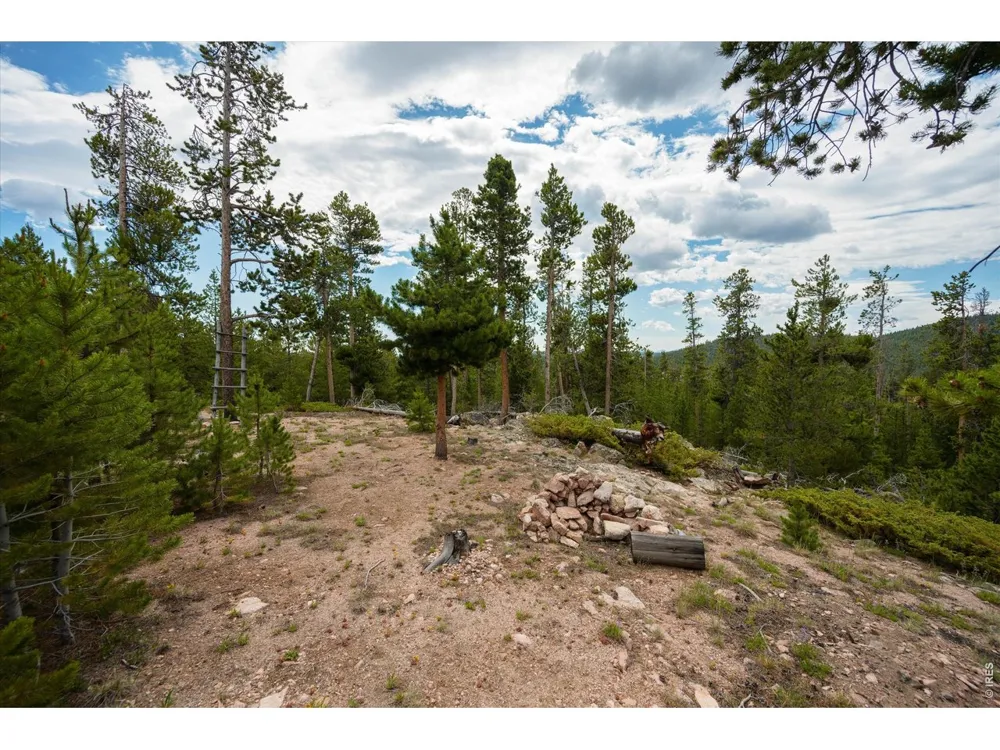 410 Pearl Creek Road Red Feather Lakes, CO 80545