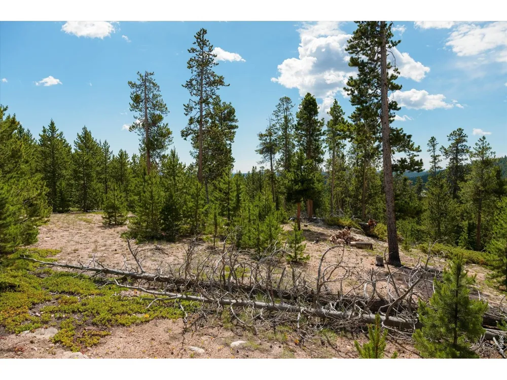 410 Pearl Creek Road Red Feather Lakes, CO 80545