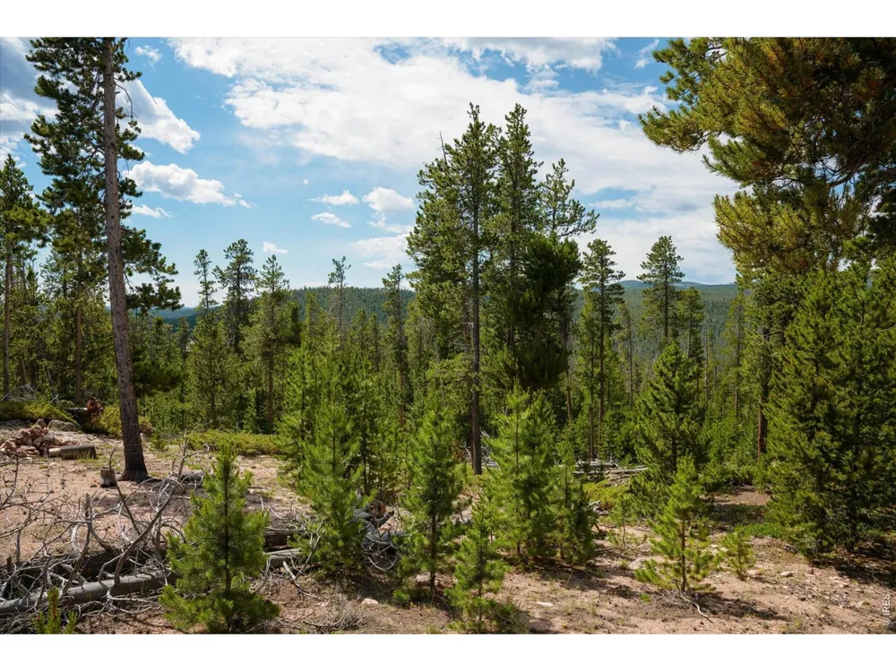 410 Pearl Creek Road Red Feather Lakes, CO 80545